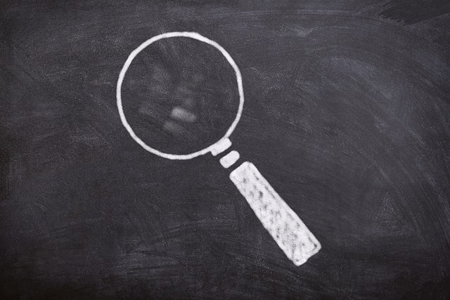 Die wichtigsten Fachrichtungen an Handelshochschulen